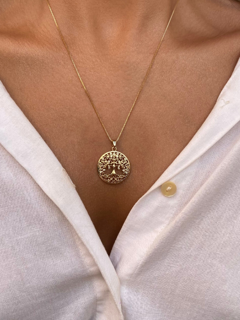 Conjunto Árvore da Vida Raízes