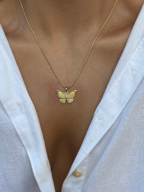 Conjunto Borboleta Detalhes